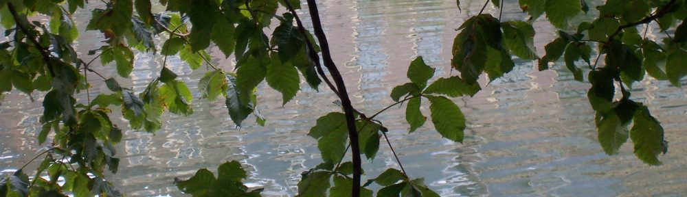 The Canadian-American Theological Association