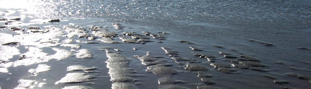 The Canadian-American Theological Association