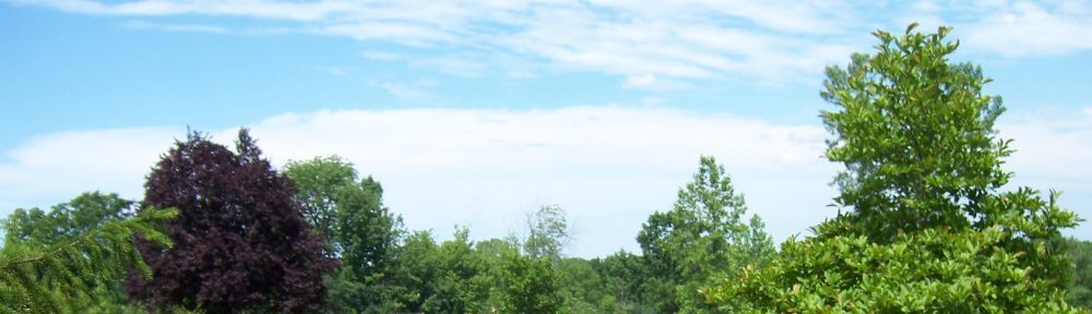 The Canadian-American Theological Association